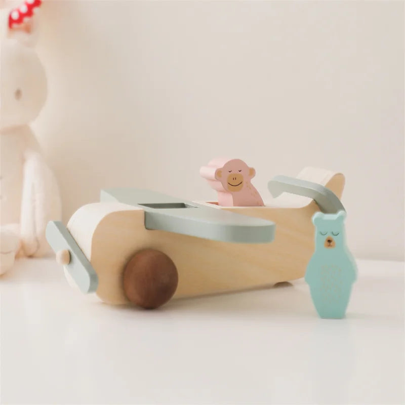 Wooden Passenger Aircraft