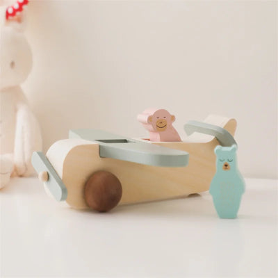 Wooden Passenger Aircraft